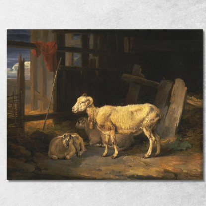 Pecora Di Brughiera E Agnelli James Ward jwr19 quadro stampato su tela