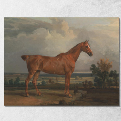 Cacciatore In Un Paesaggio James Ward jwr20 quadro stampato su tela