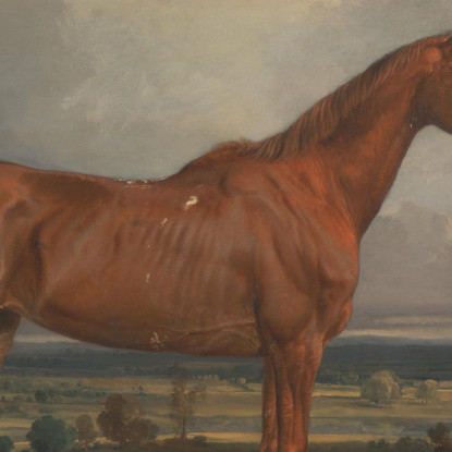 Cacciatore In Un Paesaggio James Ward jwr20 quadro stampato su tela