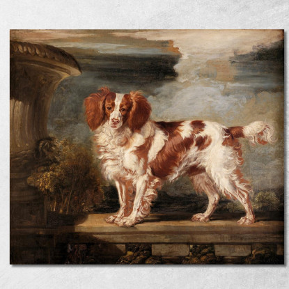 Ritratto Di Dash Uno Spaniel Preferito Di Proprietà Di Lady Frances Vane-Tempest James Ward jwr27 quadro stampato su tela