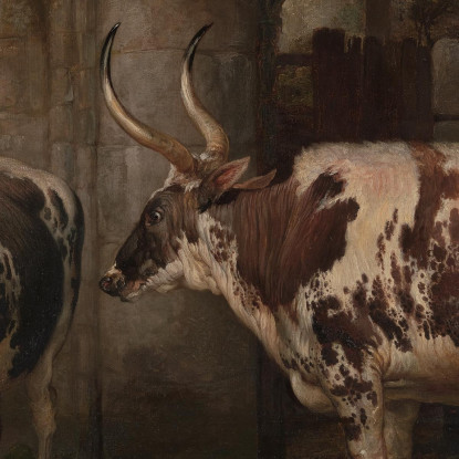 Ritratti Di Due Buoi Straordinari Di Proprietà Del Conte Di Powis James Ward jwr29 quadro stampato su tela