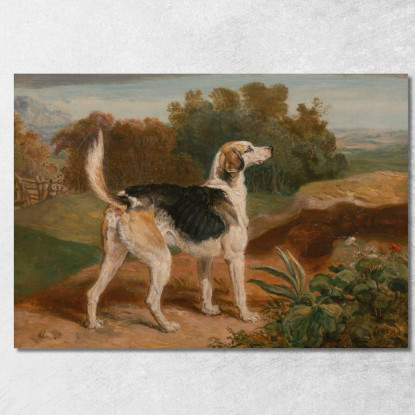 Ravager Uno Dei Segugi Di Lambton James Ward jwr30 quadro stampato su tela