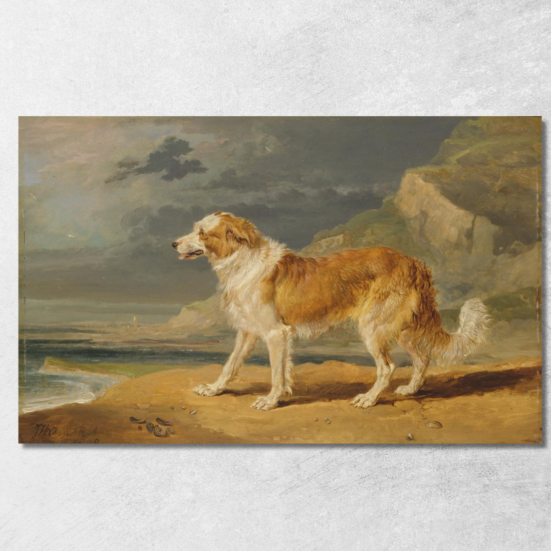 Collie A Pelo Ruvido James Ward jwr31 quadro stampato su tela