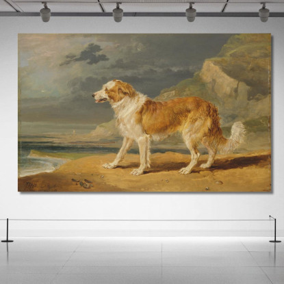 Collie A Pelo Ruvido James Ward jwr31 quadro stampato su tela