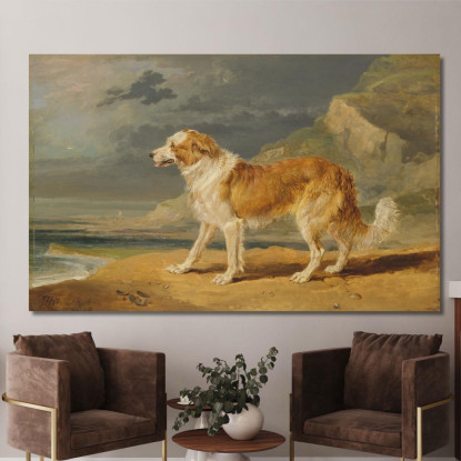 Collie A Pelo Ruvido James Ward jwr31 quadro stampato su tela