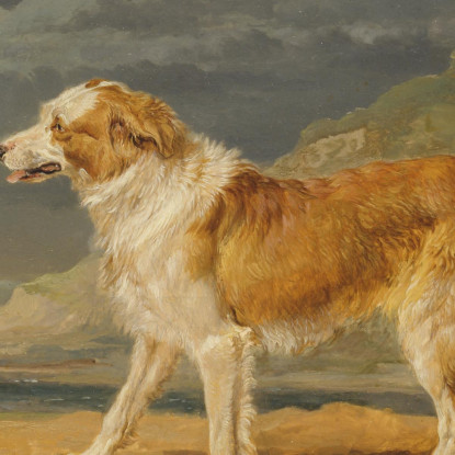 Collie A Pelo Ruvido James Ward jwr31 quadro stampato su tela