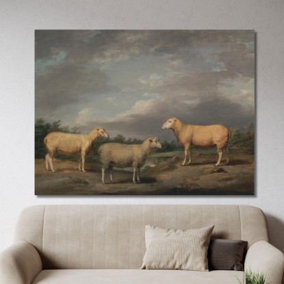 Pecore Ryelands: L'Ariete Del Re La Pecora Del Re E Il Castrato Di Lord Somerville James Ward jwr32 quadro stampato su tela