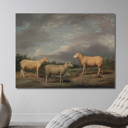 Pecore Ryelands: L'Ariete Del Re La Pecora Del Re E Il Castrato Di Lord Somerville James Ward jwr32 quadro stampato su tela
