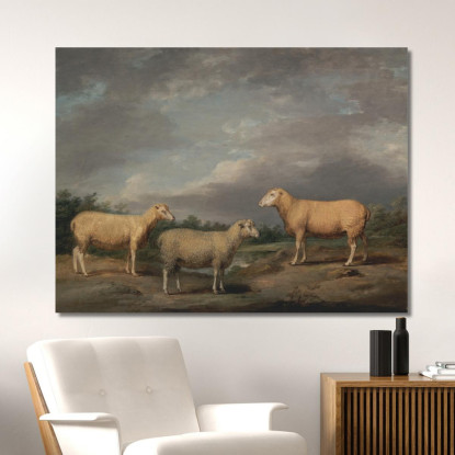 Pecore Ryelands: L'Ariete Del Re La Pecora Del Re E Il Castrato Di Lord Somerville James Ward jwr32 quadro stampato su tela