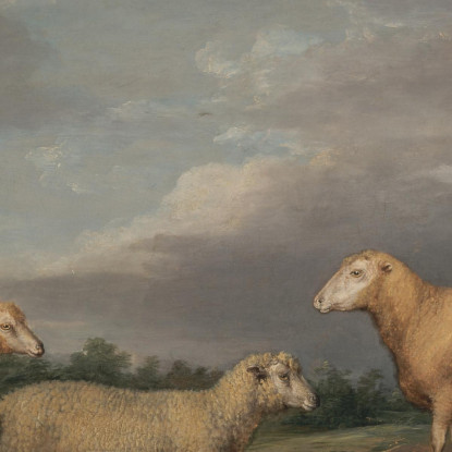 Pecore Ryelands: L'Ariete Del Re La Pecora Del Re E Il Castrato Di Lord Somerville James Ward jwr32 quadro stampato su tela