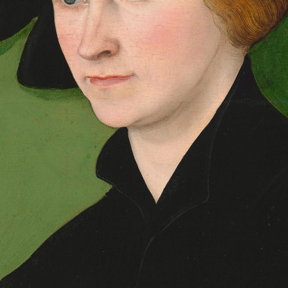 Ritratto Di Una Donna Lucas Cranach the Elder lce45 quadro stampato su tela