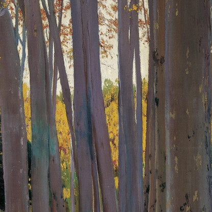 Viale Dei Platani Santiago Rusiñol srs2 quadro stampato su tela