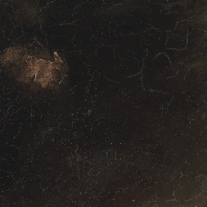 Ritratto Della Sorella Dell'Artista Anna Hammershøi Vista Da Dietro Vilhelm Hammershøi vhm50 quadro stampato su tela