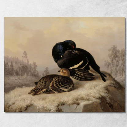 Maschio E Femmina Di Fagiano Di Monte Ferdinand von Wright fvw4 quadro stampato su tela