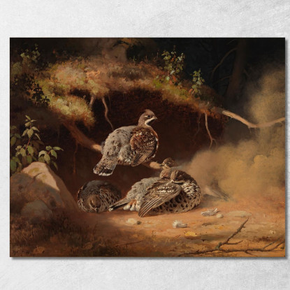 Francolino Di Monte Che Si Rotola Nella Sabbia Ferdinand von Wright fvw11 quadro stampato su tela