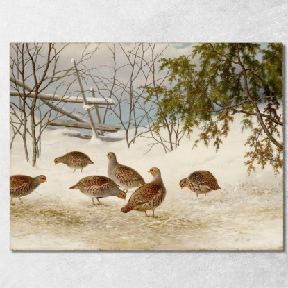Pernici Nella Neve Ferdinand von Wright fvw21 quadro stampato su tela