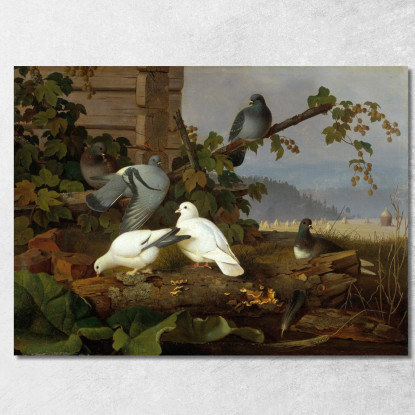Piccioni Ferdinand von Wright fvw22 quadro stampato su tela