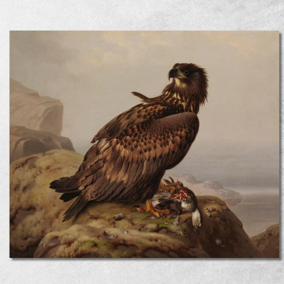 Aquila Di Mare Con La Sua Preda Ferdinand von Wright fvw32 quadro stampato su tela