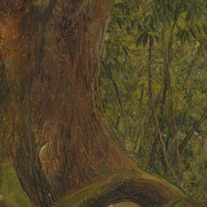 Nel Bosco Giamaica Frederic Edwin Church fec24 quadro stampato su tela