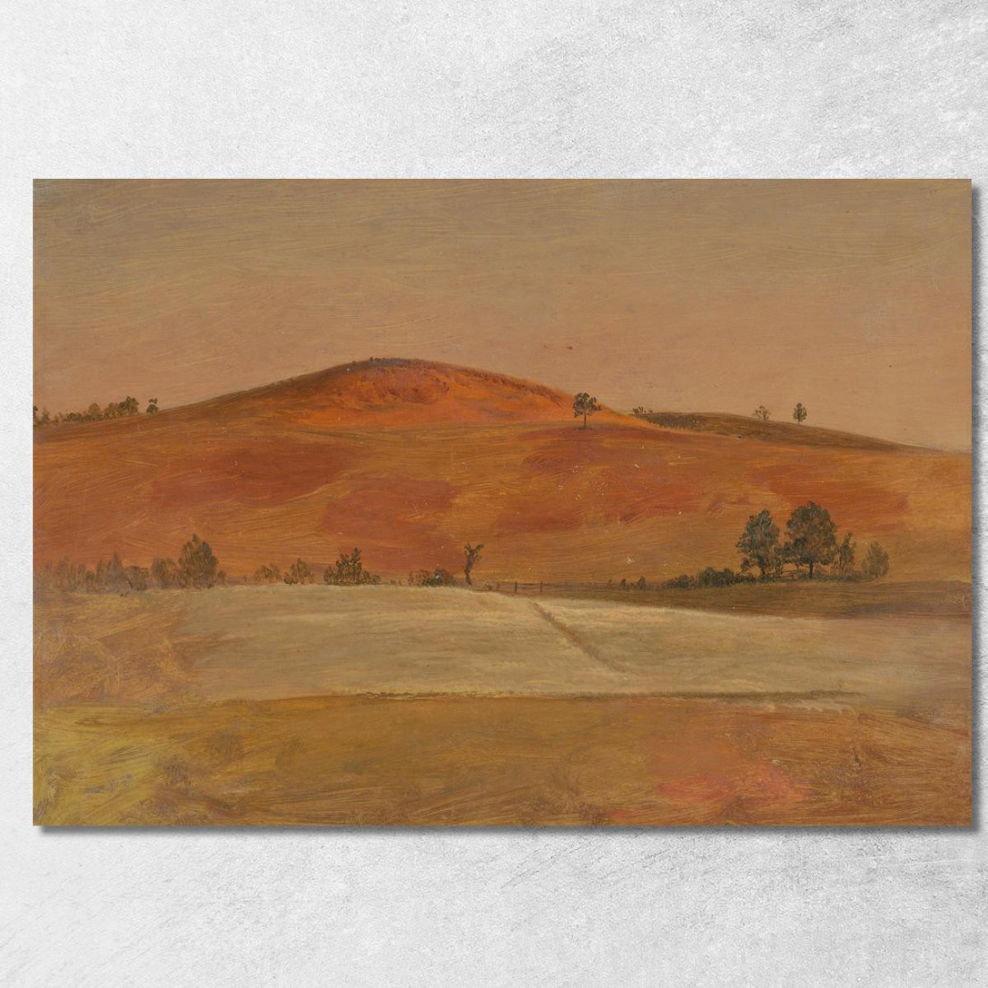Paesaggio Con Bassa Collina E Campi Frederic Edwin Church fec37 quadro stampato su tela