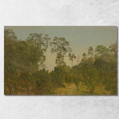 Paesaggi Frederic Edwin Church fec39 quadro stampato su tela