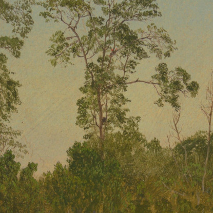 Paesaggi Frederic Edwin Church fec39 quadro stampato su tela