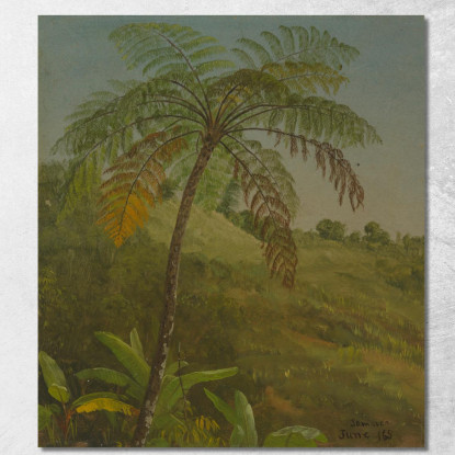 Palma Giamaica Frederic Edwin Church fec66 quadro stampato su tela