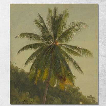 Palme Indie Occidentali Frederic Edwin Church fec68 quadro stampato su tela