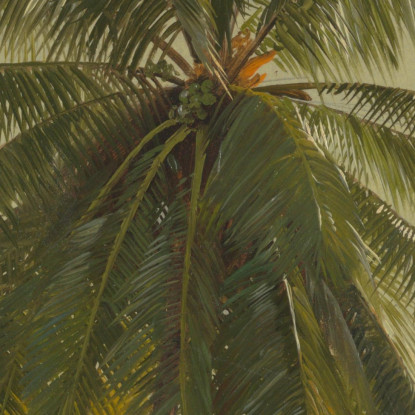 Palme Indie Occidentali Frederic Edwin Church fec68 quadro stampato su tela