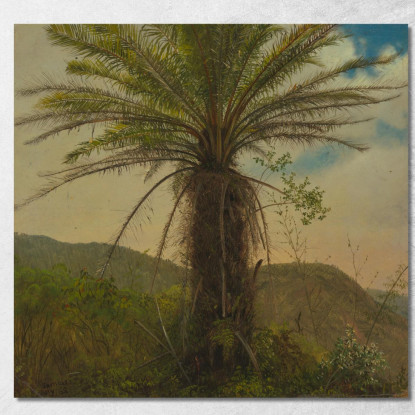 Felce Arborea Giamaica Frederic Edwin Church fec110 quadro stampato su tela