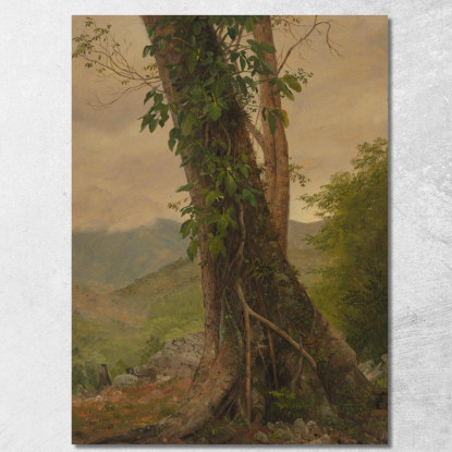 Albero Con Viti Giamaica Indie Occidentali Frederic Edwin Church fec111 quadro stampato su tela