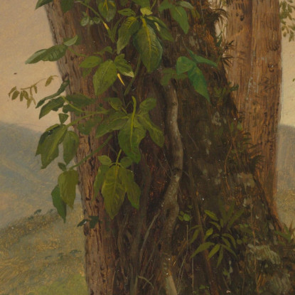 Albero Con Viti Giamaica Indie Occidentali Frederic Edwin Church fec111 quadro stampato su tela