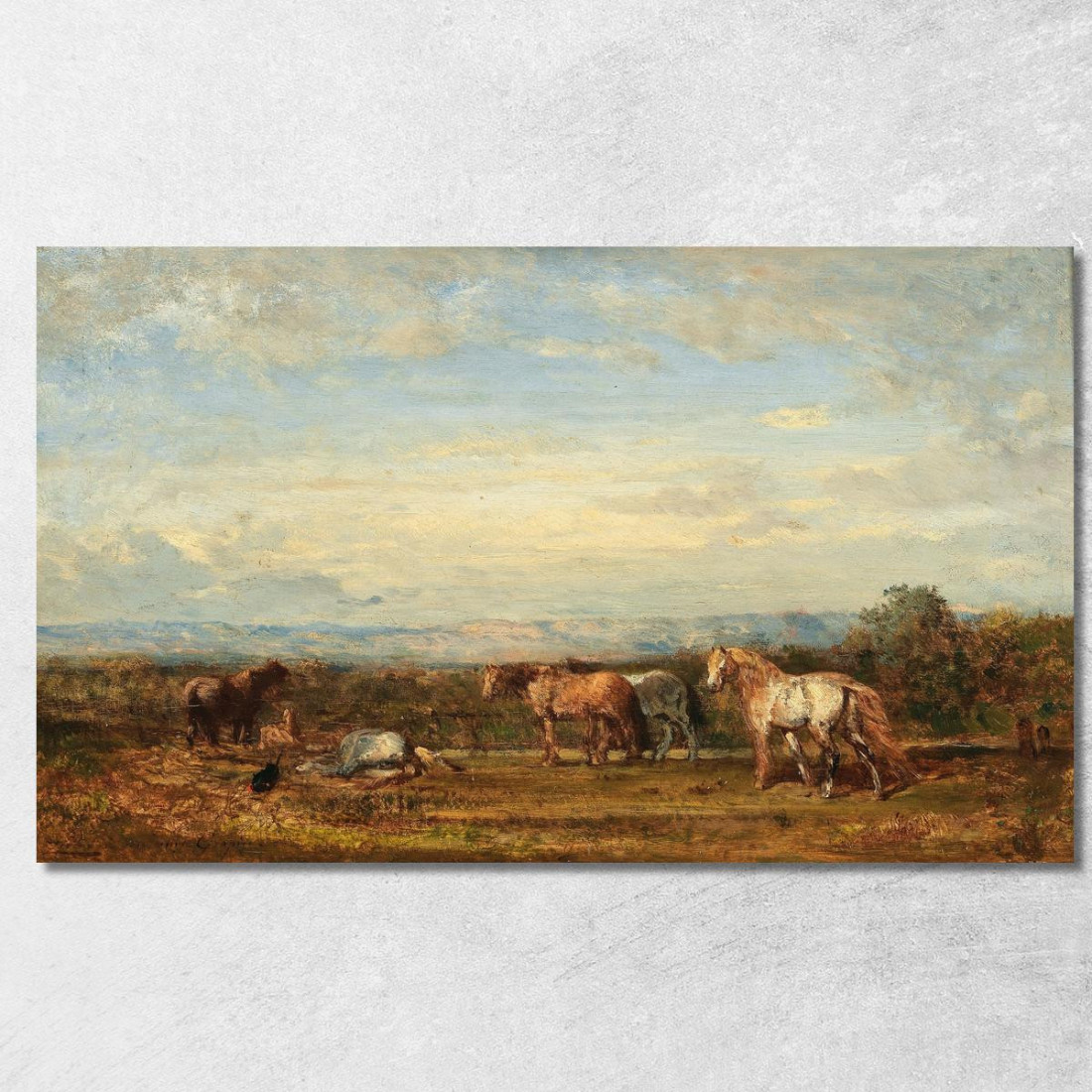 I Cavalli Della Camargue Félix Ziem fzm76 quadro stampato su tela