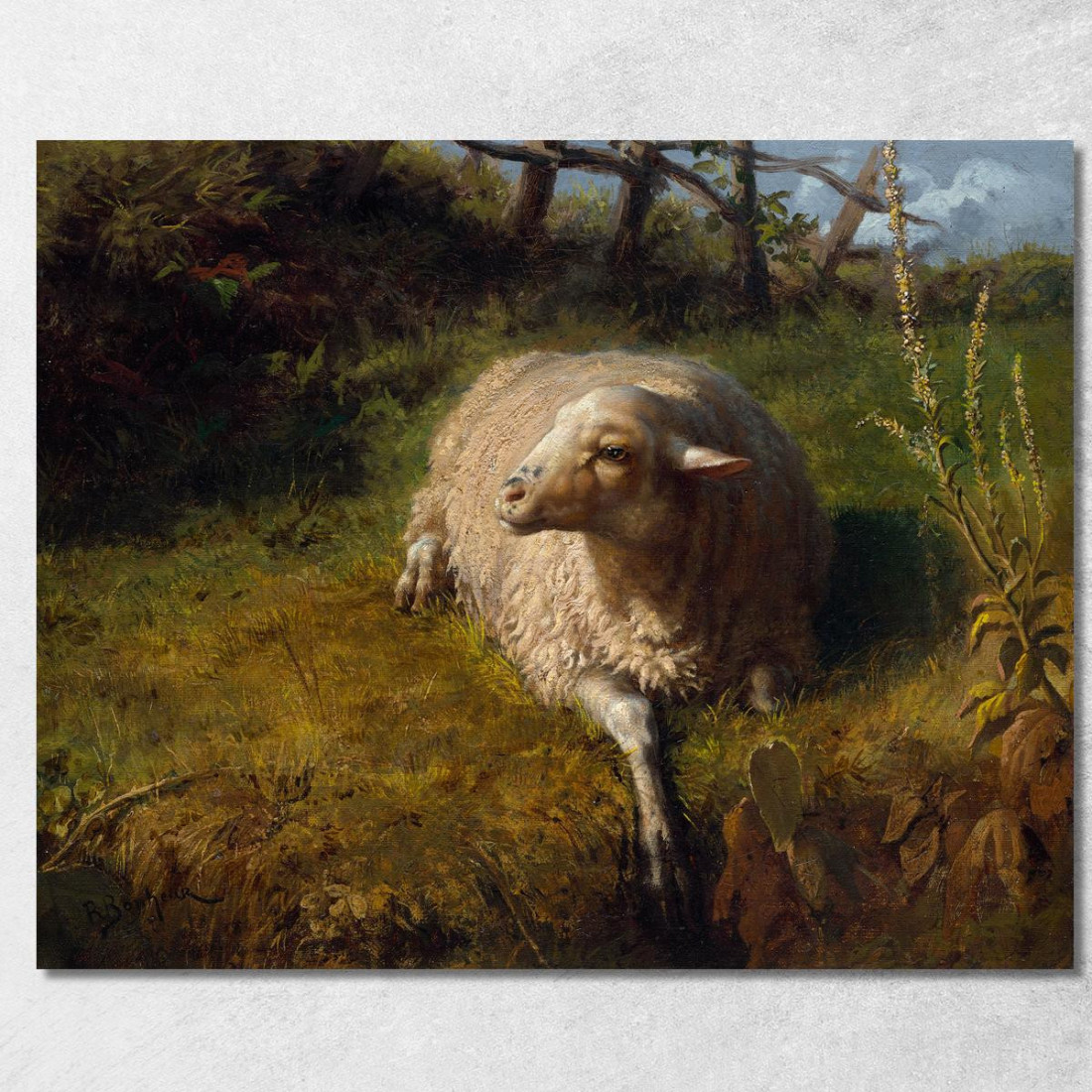 Una Pecora A Riposo Rosa Bonheur rbn4 quadro stampato su tela