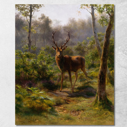 Un Cervo Rosa Bonheur rbn6 quadro stampato su tela