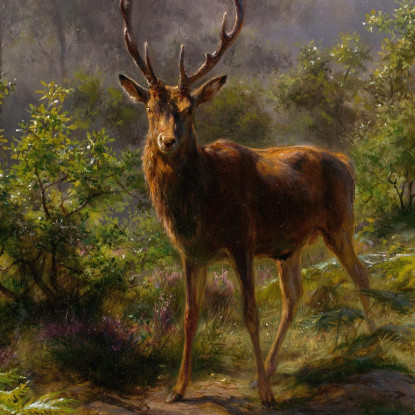 Un Cervo Rosa Bonheur rbn6 quadro stampato su tela