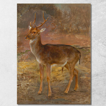 Cerf Rosa Bonheur rbn10 quadro stampato su tela