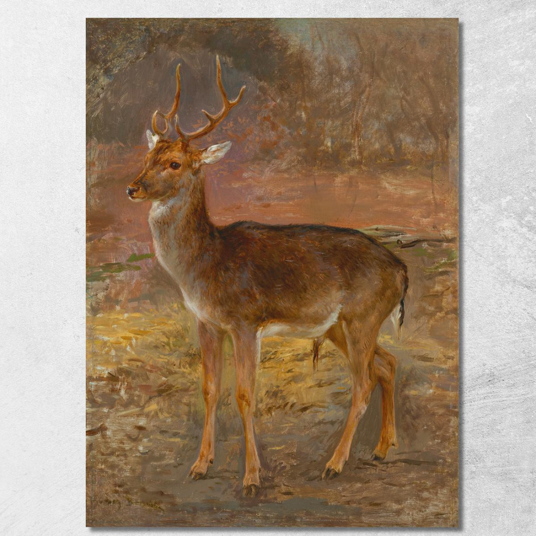 Cerf Rosa Bonheur rbn10 quadro stampato su tela