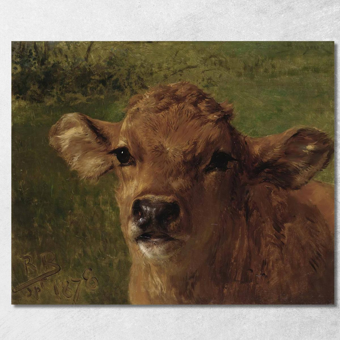 Testa Di Un Vitello Rosa Bonheur rbn16 quadro stampato su tela