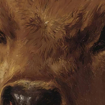 Testa Di Un Vitello Rosa Bonheur rbn16 quadro stampato su tela