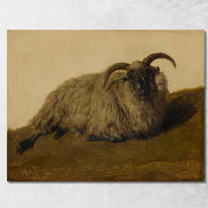 Il Merinos Rosa Bonheur rbn25 quadro stampato su tela