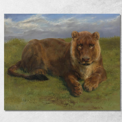 Leonessa A Riposo Rosa Bonheur rbn29 quadro stampato su tela