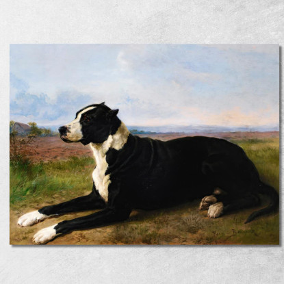 Ritratto Di Un Mastino-Labrador In Un Paesaggio Rosa Bonheur rbn35 quadro stampato su tela