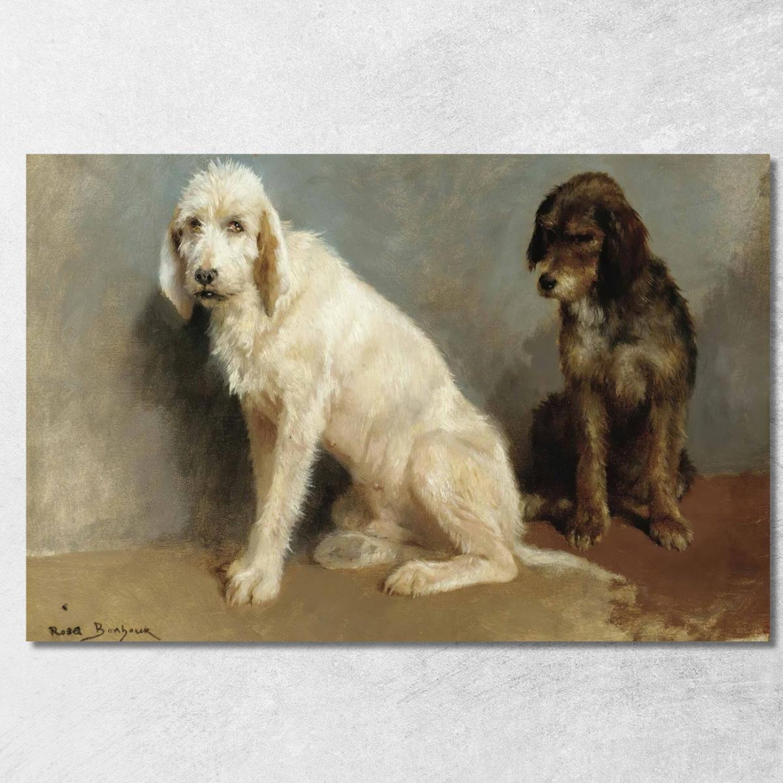 Studio Di Due Cani Rosa Bonheur rbn43 quadro stampato su tela