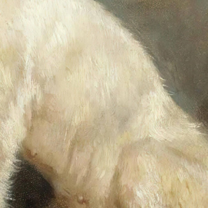 Studio Di Due Cani Rosa Bonheur rbn43 quadro stampato su tela