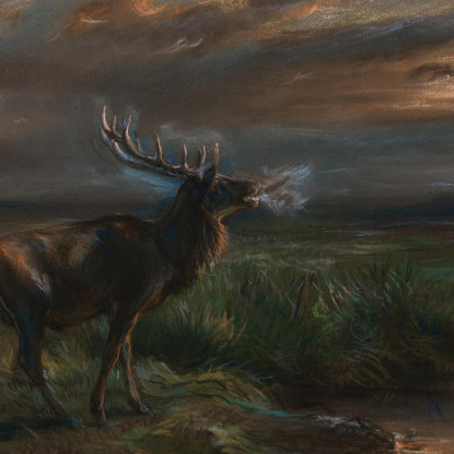 Il Richiamo Del Cervo Rosa Bonheur rbn44 quadro stampato su tela