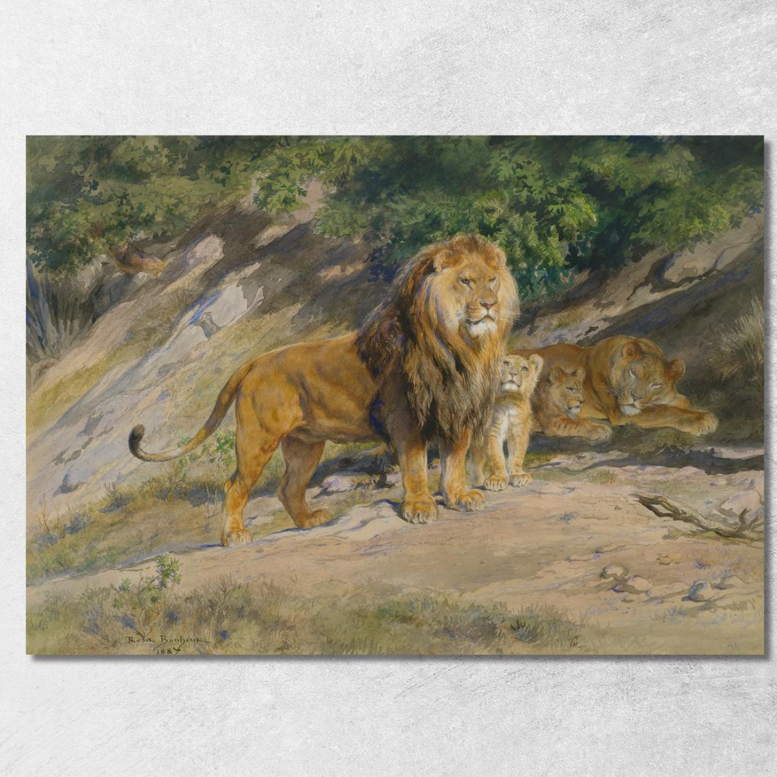 Il Re Osserva Rosa Bonheur rbn48 quadro stampato su tela