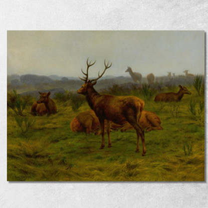 Il Monarca Della Mandria Rosa Bonheur rbn49 quadro stampato su tela