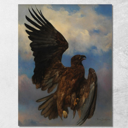 L'Aquila Ferita Rosa Bonheur rbn51 quadro stampato su tela