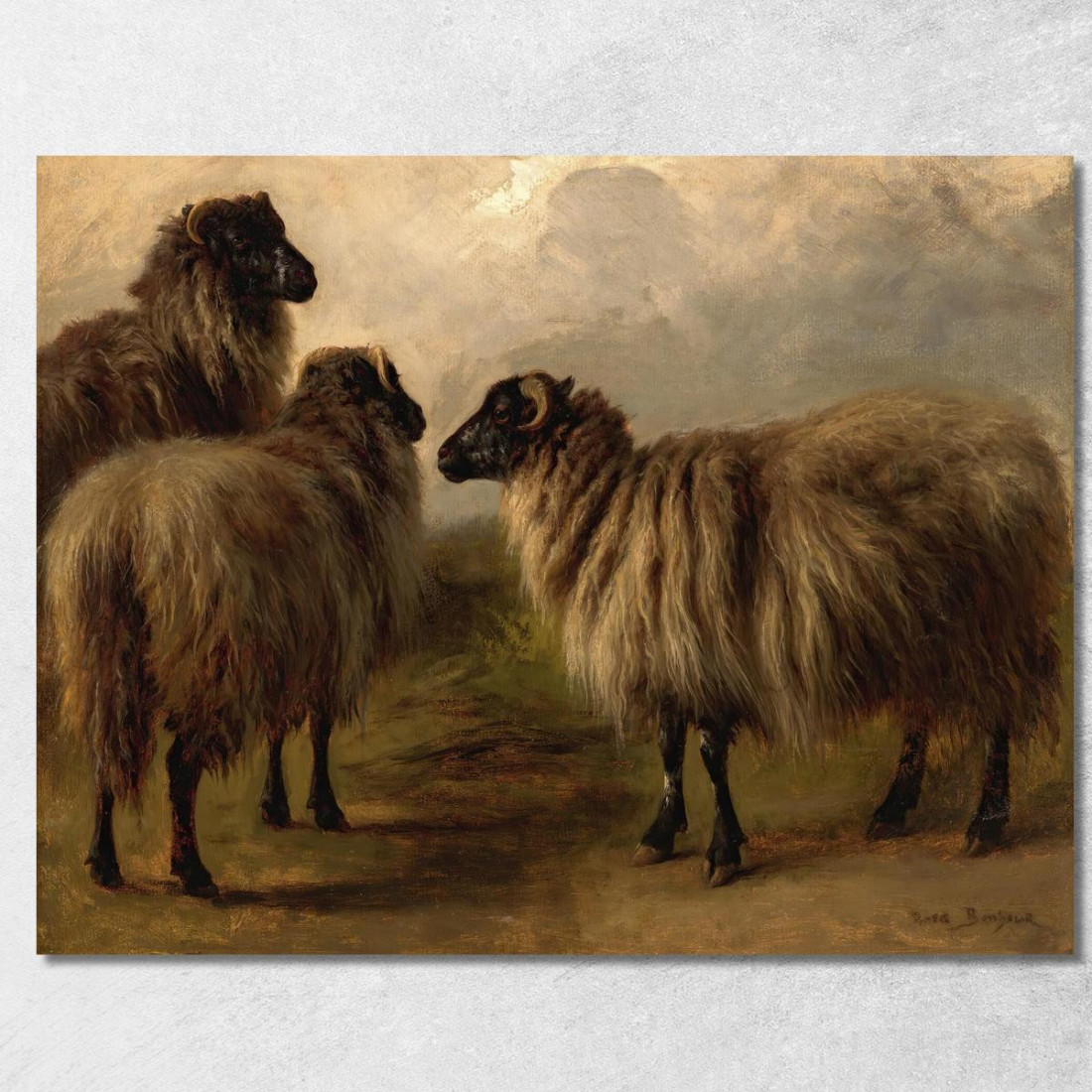 Tre Pecore Lanose Rosa Bonheur rbn52 quadro stampato su tela